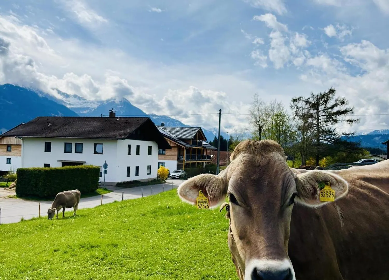 Ferienwohnung Allgaeu-Traum Ofterschwang 0*,  Alemanha